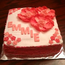 Emmie's 17th Birthday Cake